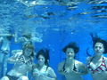 2008 uNdEr tHe sEa.... 40984422