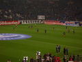 Auf SCHALKE 50783390