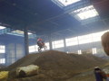 motocross 35651766