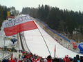 Skifliegen am kulm 2010 70721610