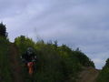 Motocross-Enduro 39548696