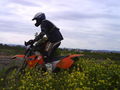 Motocross-Enduro 39548702