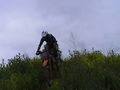 Motocross-Enduro 39548705