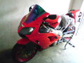 Mein Motorrad!!!  49705408