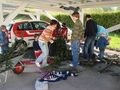 Maibaum 2008 37692141