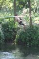 Slackline über Wasser 40173870