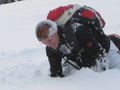 Schneeschuhwandern am Jura 50015660