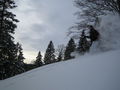 Schneeschuhwandern am Jura 50016474