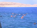 Hurghada 2009 63914776