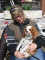 Cavalier-King-Charls Treffen 2008 36725214