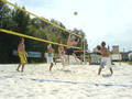 BeachVolleyBall 9563130