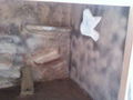 Mein neues Zimmer inkl. Terrariumbau 37755884