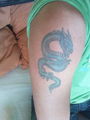 Meine Tattoos 61825520