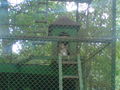 Zoo Oradea(Rumaenien) 65843559