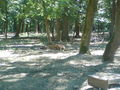 Zoo Timisoara(Rumaenien) 65843752