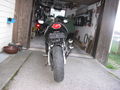 Aprilia Replica 36880111