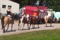 Western-Reiten im Sommer 2007 51499668