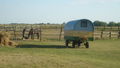 Reiten in Ungarn Puszta Sommer 2008 51502679