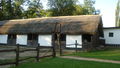 Reiten in Ungarn Puszta Sommer 2008 51502682