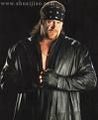 undertaker 56650767