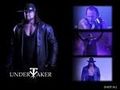 undertaker 56650804