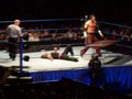 wrestlemania 25 in salzburg 57953344