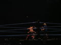 Wrestle Mania Revenge Tour 2007 in Wien 41882856