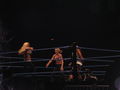 Wrestle Mania Revenge Tour 2007 in Wien 41883110