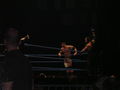 Wrestle Mania Revenge Tour 2007 in Wien 41883289