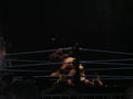 Wrestle Mania Revenge Tour 2007 in Wien 41883414