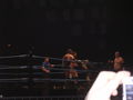 Wrestle Mania Revenge Tour 2007 in Wien 41883443