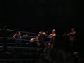 Wrestle Mania Revenge Tour 2007 in Wien 41883487