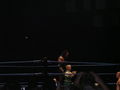 Wrestle Mania Revenge Tour 2007 in Wien 41883498