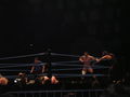 Wrestle Mania Revenge Tour 2007 in Wien 41883559