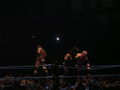 Wrestle Mania Revenge Tour 2007 in Wien 41883596