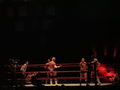 Wrestle Mania Revenge Tour 2008 in Wien 41884705