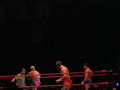 Wrestle Mania Revenge Tour 2008 in Wien 41884736