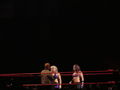 Wrestle Mania Revenge Tour 2008 in Wien 41884757