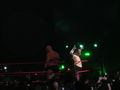 Wrestle Mania Revenge Tour 2008 in Wien 41884861