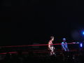 Wrestle Mania Revenge Tour 2008 in Wien 41884958