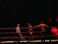 Wrestle Mania Revenge Tour 2008 in Wien 41884980