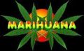 Hanf,Ganja und Marihuana 56681893