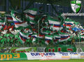 SK Rapid Wien 53617849