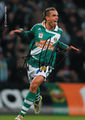 SK Rapid Wien 53617869