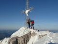 Bergspecht - Fotoalbum