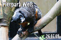 Tierpark Wels 42244702