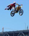 Freestyle Motocross 36598348