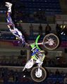 Freestyle Motocross 36598353