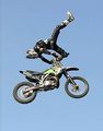 Freestyle Motocross 36598441