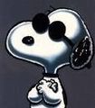 Snoopy 64074696